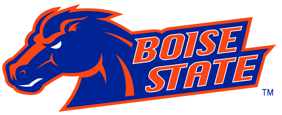 Boise State Broncos 2002-2012 Secondary Logo v7 diy DTF decal sticker